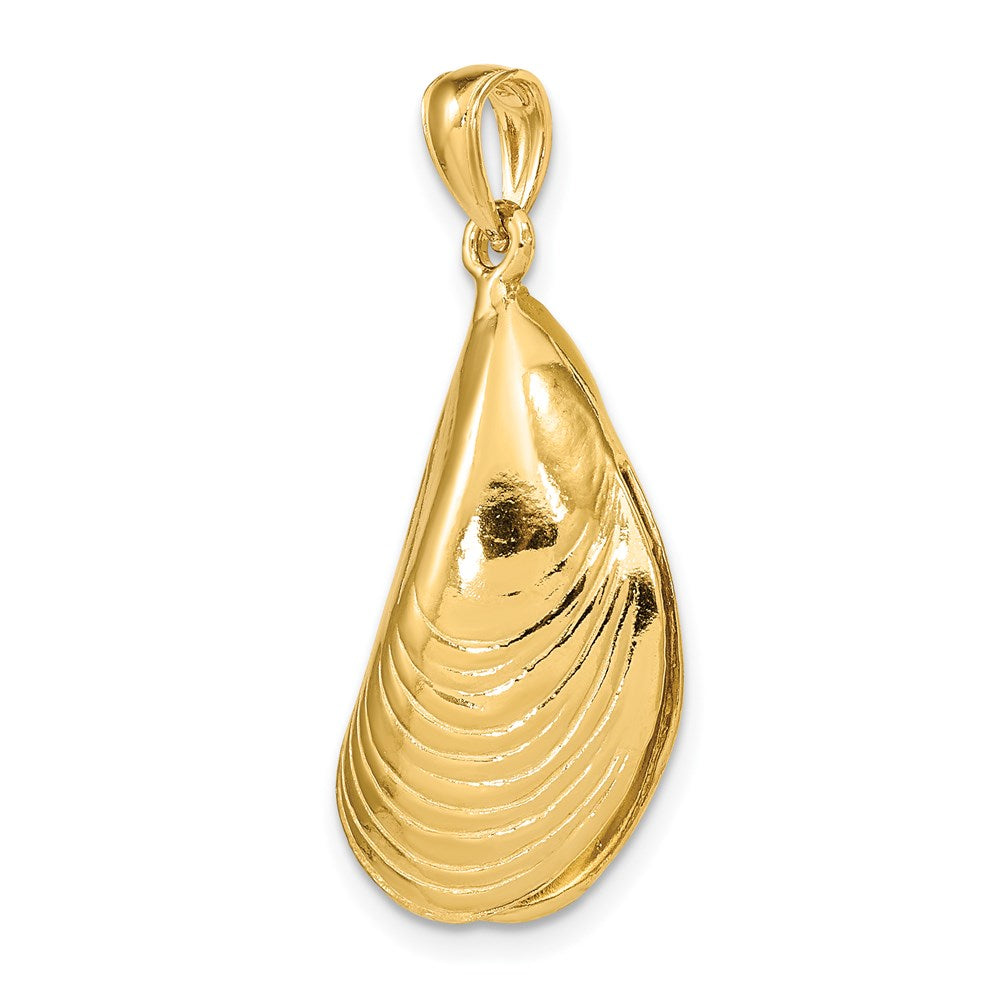 14 Karat Gelbgold 3-D-polierter Muschelschale-Charm