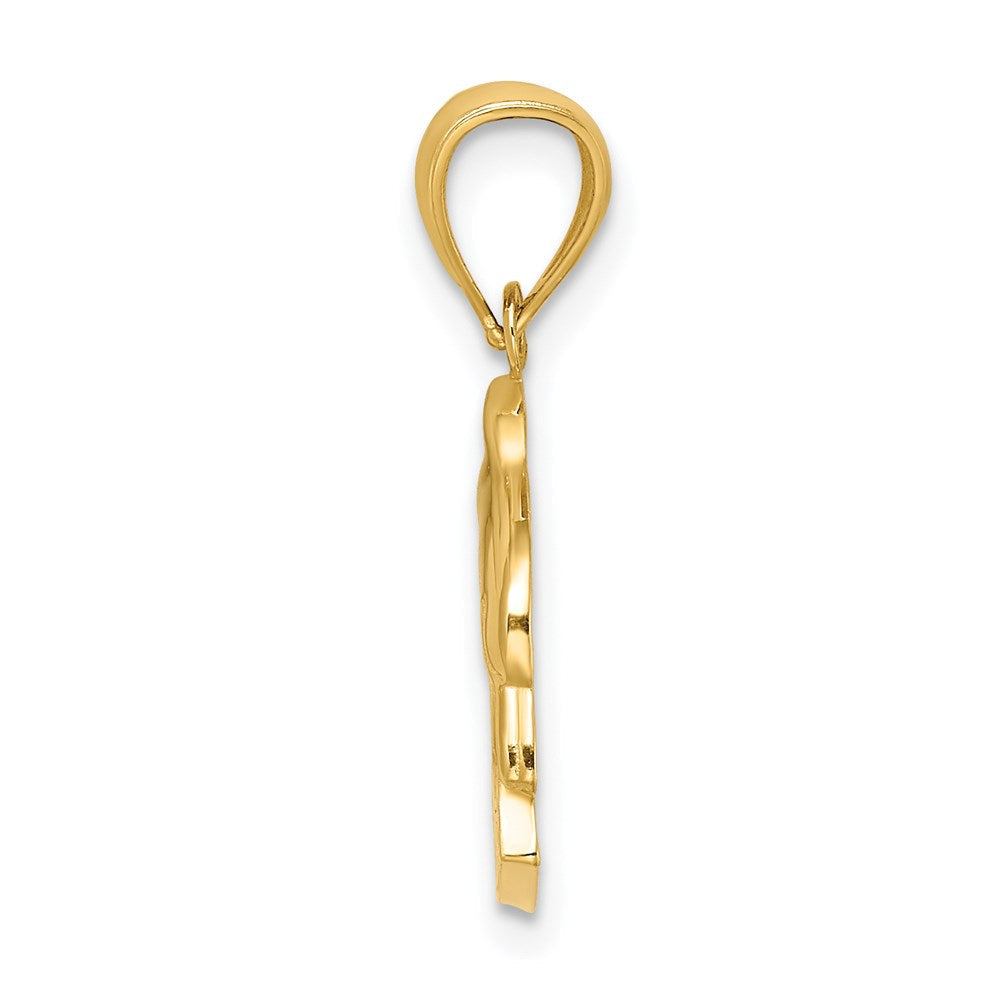 14K Gelbgold ST. THOMAS Delfin-Charm