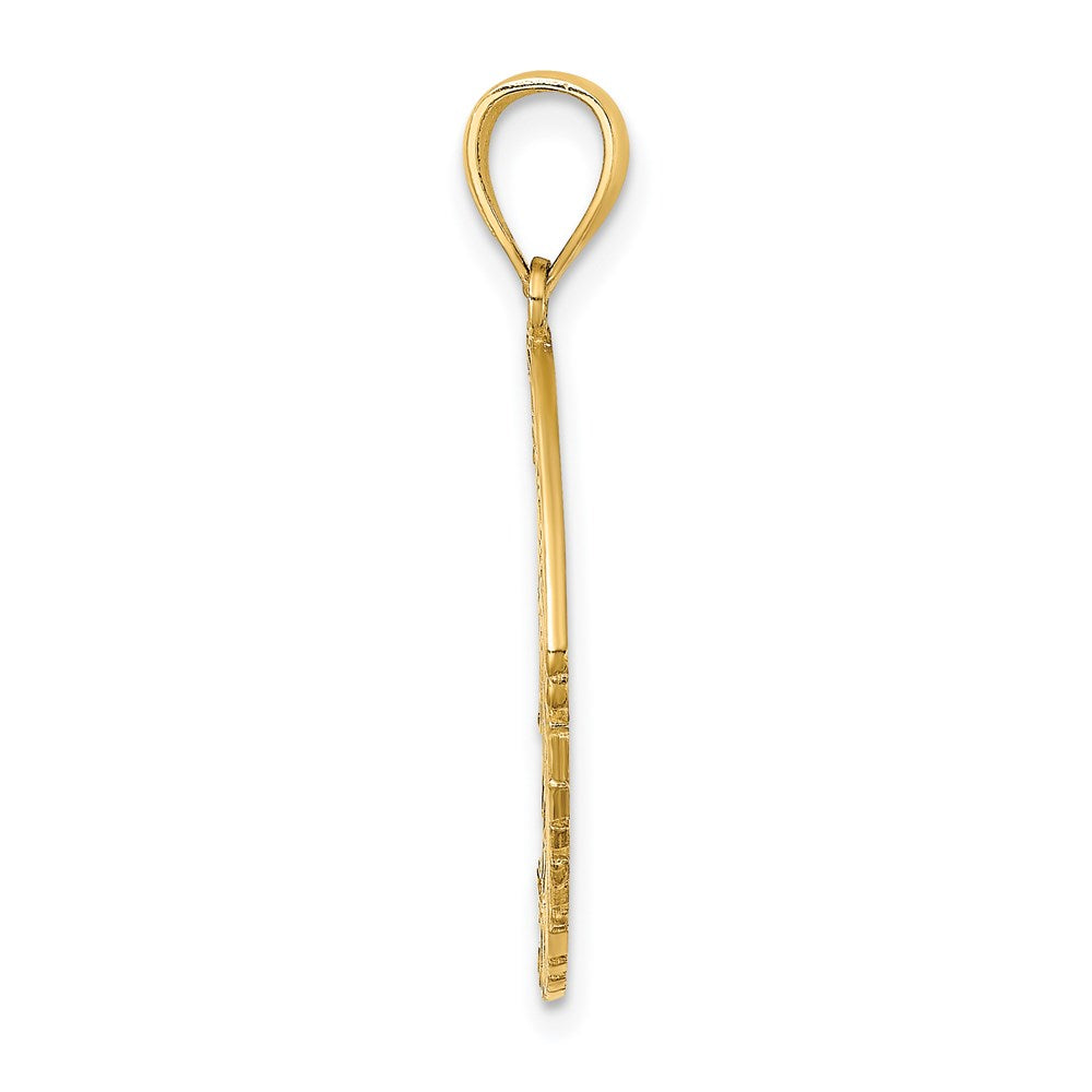 14K Gelbgold Polierter BARBADOS Kaiserfisch-Charm