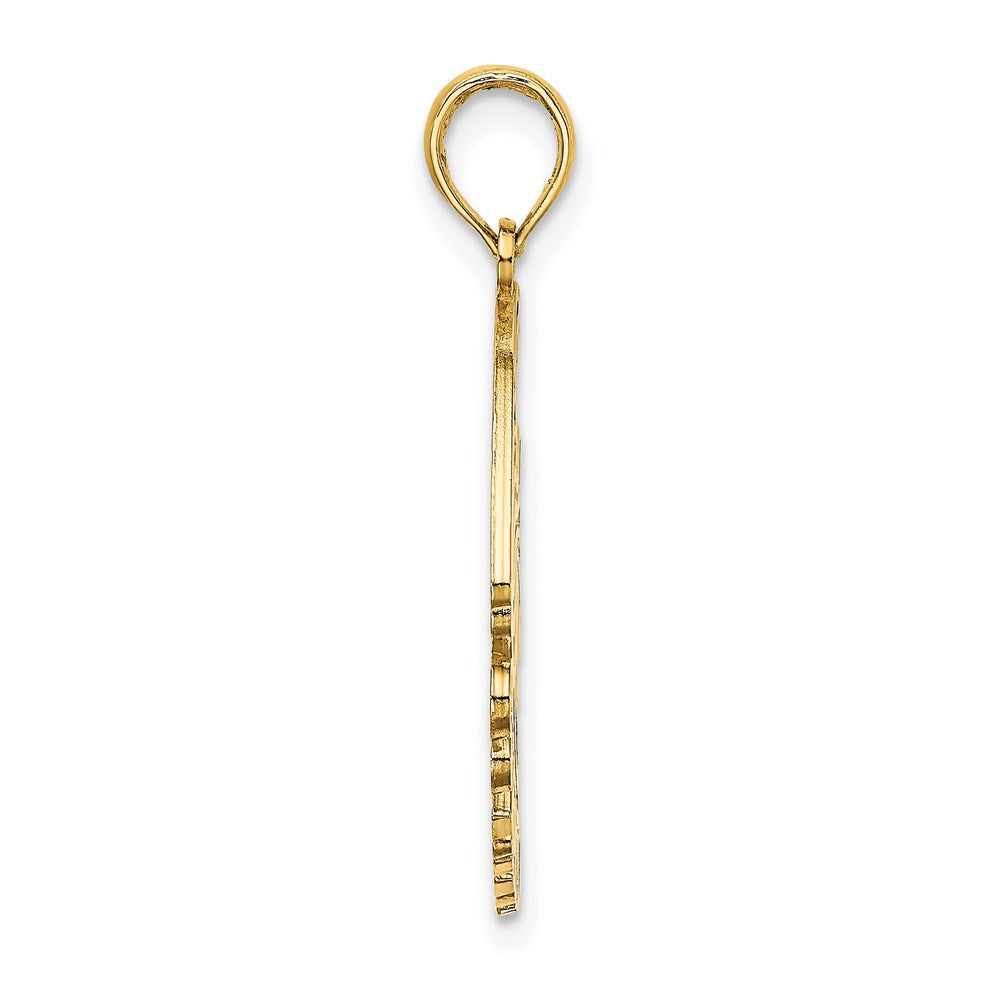 14K Gelbgold Poliert CURACAO Unter Engelfisch Charm