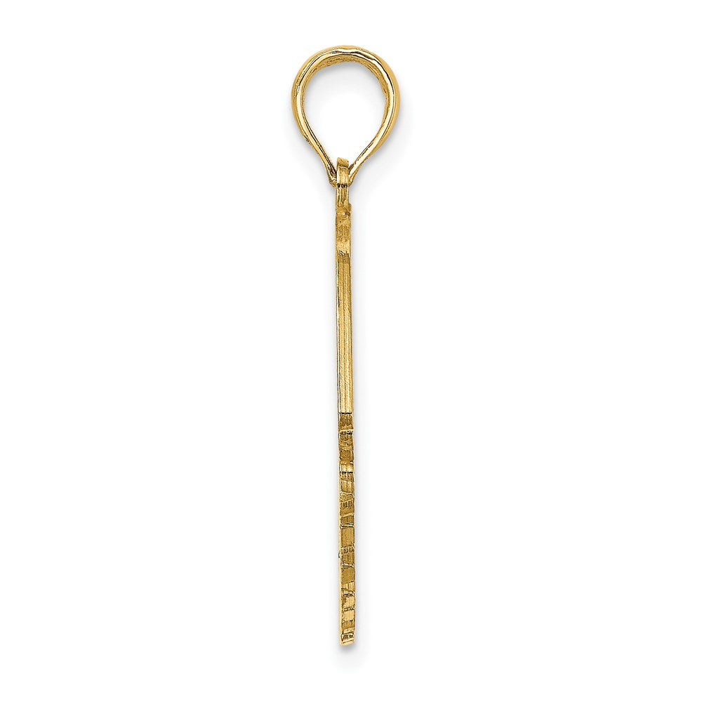 14K Gelbgold polierter ST. THOMAS Engelfisch-Charm