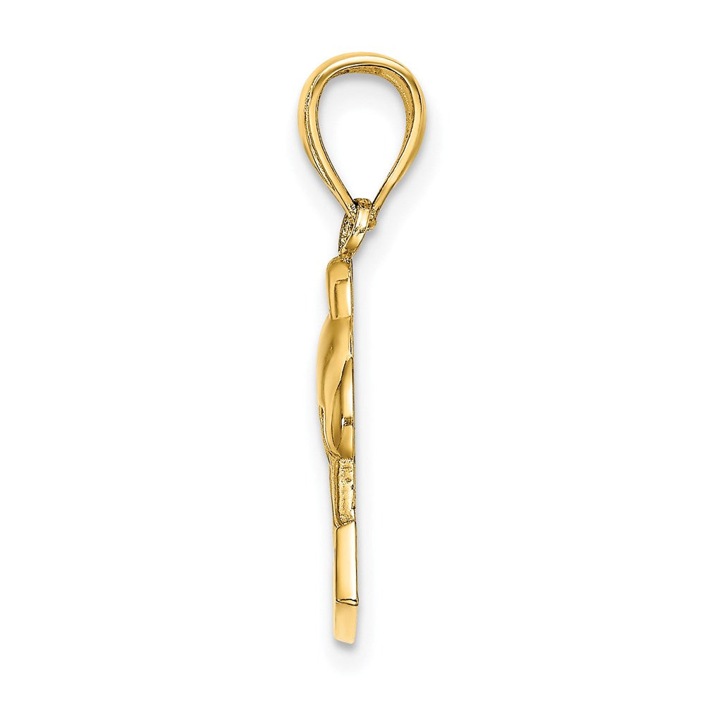 14K Gelbgold 2-D ARUBA unter poliertem Delfin-Charm