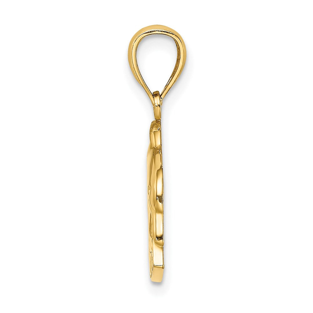 14K Gelbgold polierter BARBADOS-Delfin-Charm