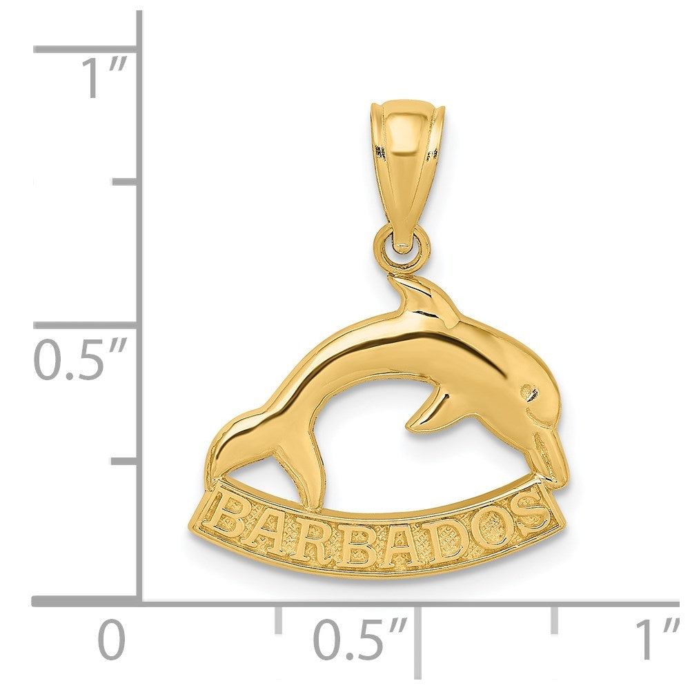 14K Gelbgold polierter BARBADOS-Delfin-Charm