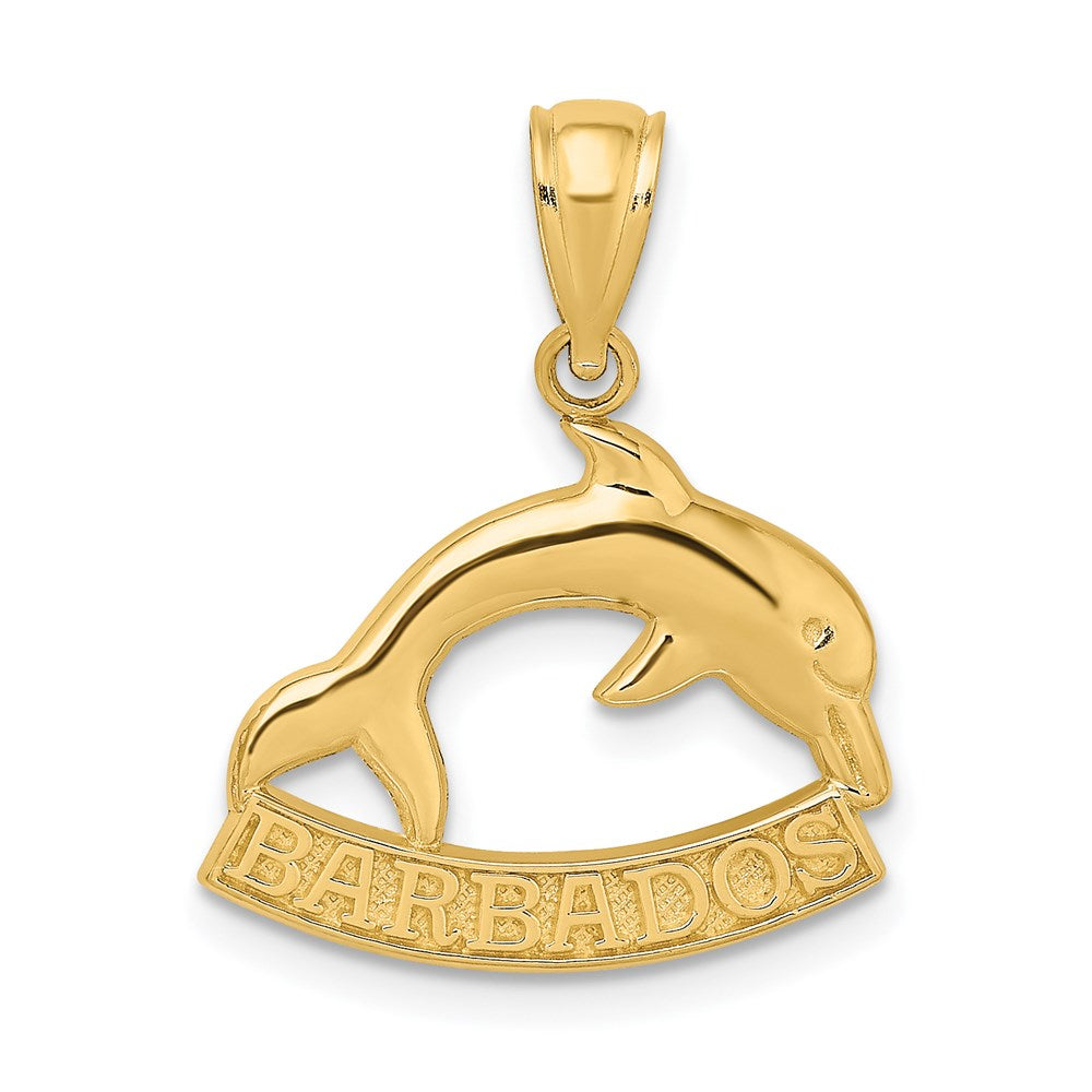 14K Gelbgold polierter BARBADOS-Delfin-Charm