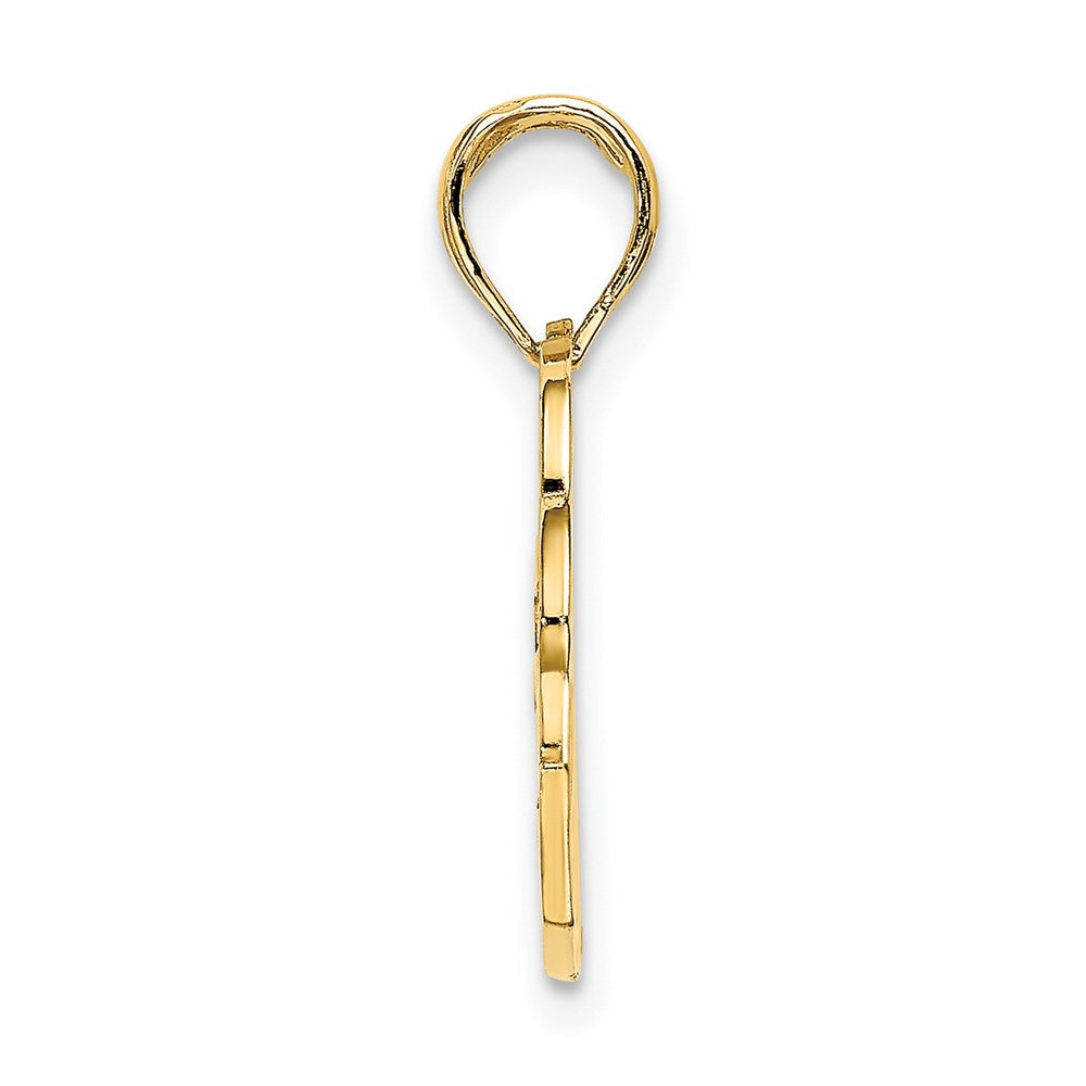 14K Gelbgold San Diego Banner Dolphins Charm