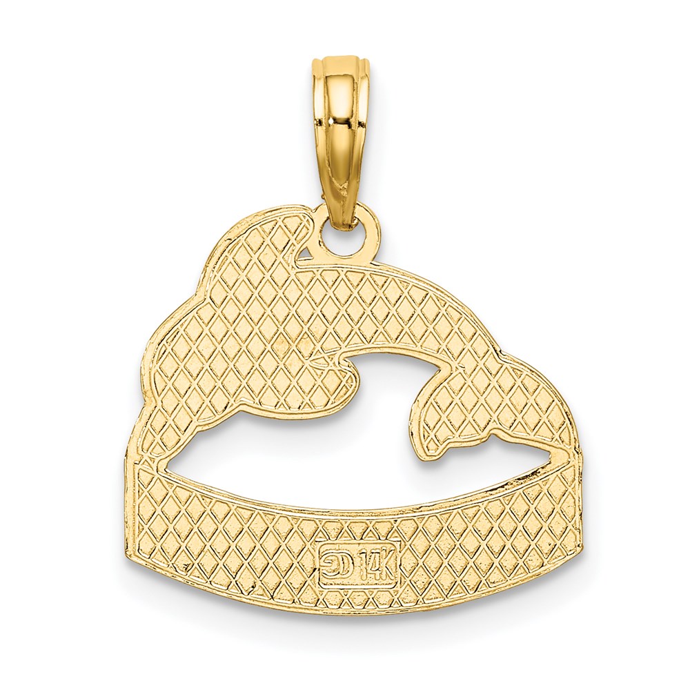 14K Gelbgold San Diego Banner Dolphins Charm