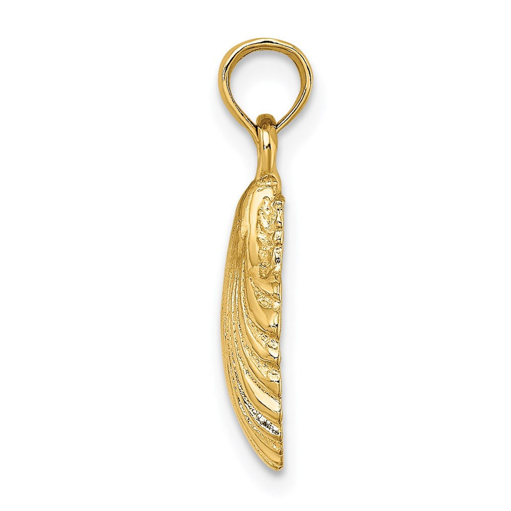 14K Gelbgold Polierter Muschel-Charm