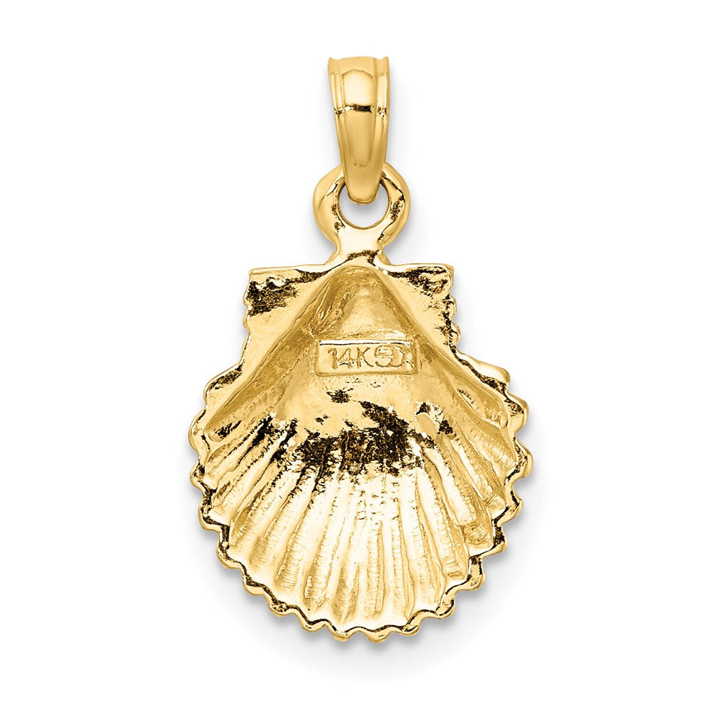 14K Gelbgold Polierter Muschel-Charm