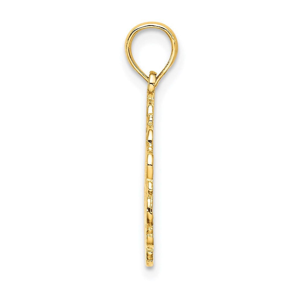 14K Gelbgold Stern Of David in Gewellt Kreis Charm