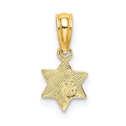 14K Gelbgold Graviert Mini Stern Of David Charm