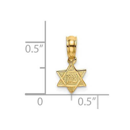 14K Gelbgold Graviert Mini Stern Of David Charm