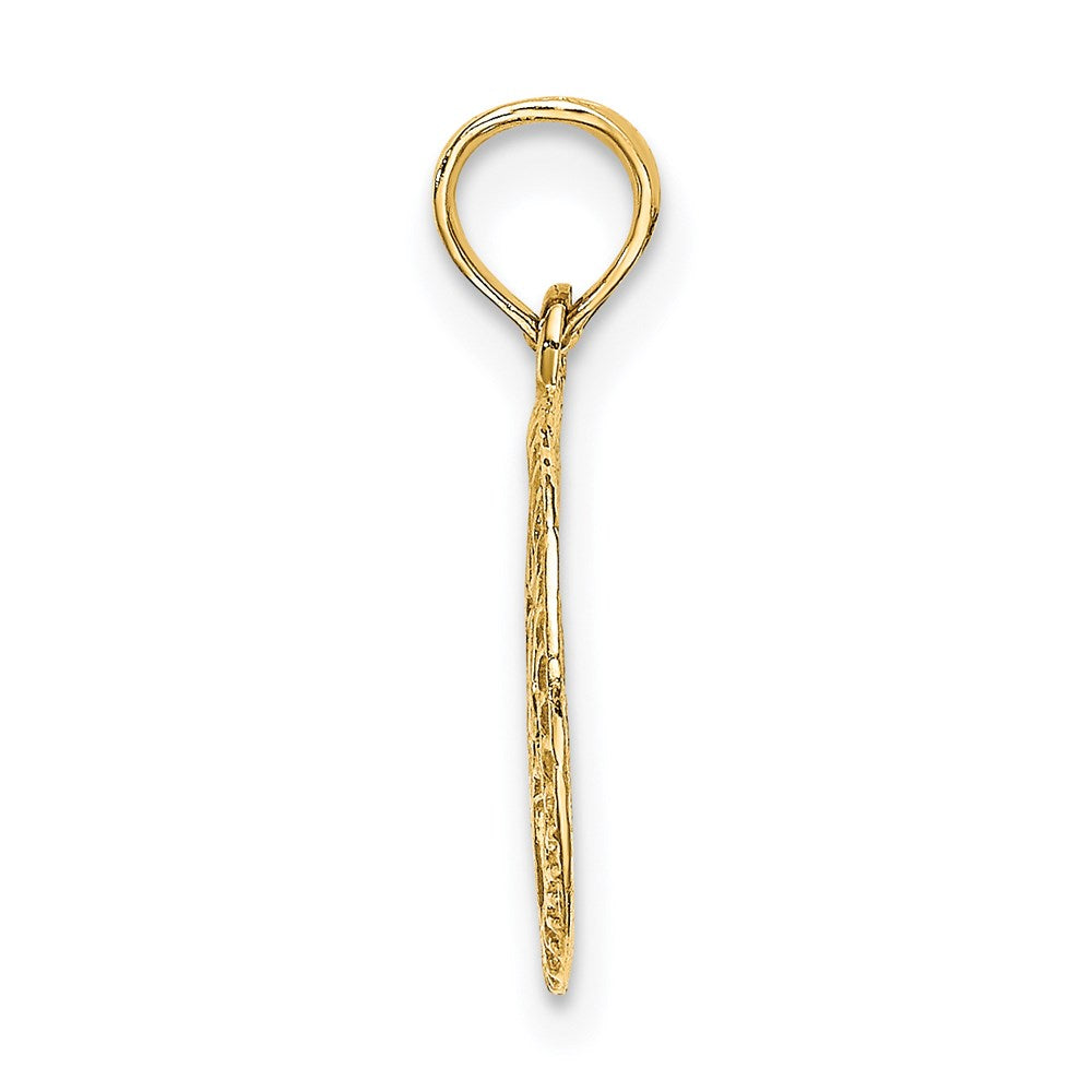 14K Gelbgold Graviert Stern Of David in Kreis Charm