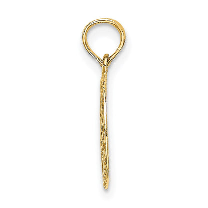 14K Gelbgold Graviert Stern Of David in Kreis Charm
