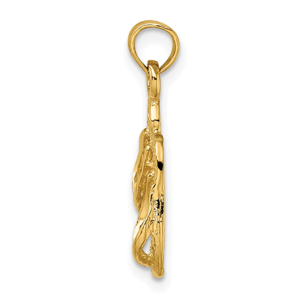 14K Gelbgold 3d Pawleys Island Doppelt Flip-flop Charm