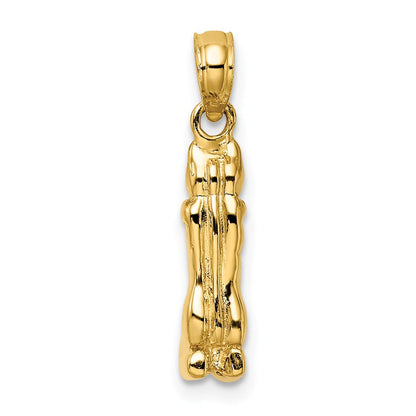 14K Gelbgold 3D-poliert MARCO ISLAND Katzen-Charm