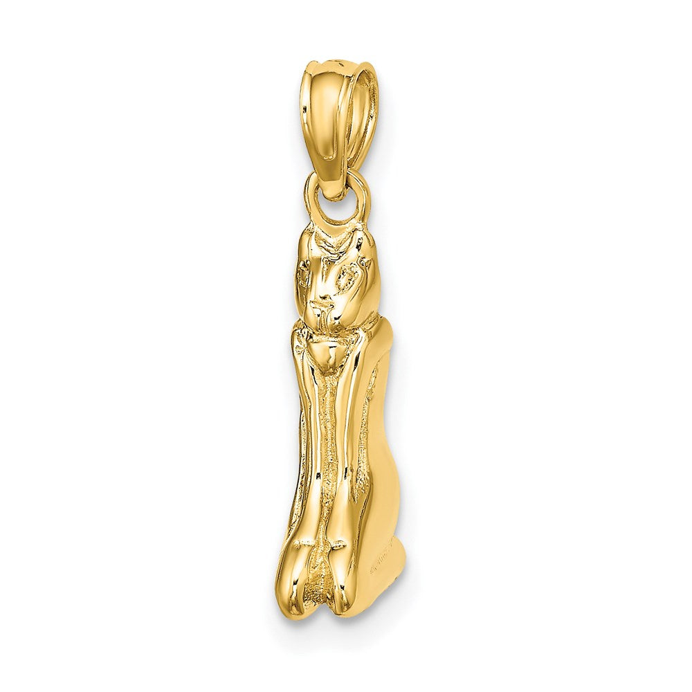 14K Gelbgold 3D-poliert MARCO ISLAND Katzen-Charm