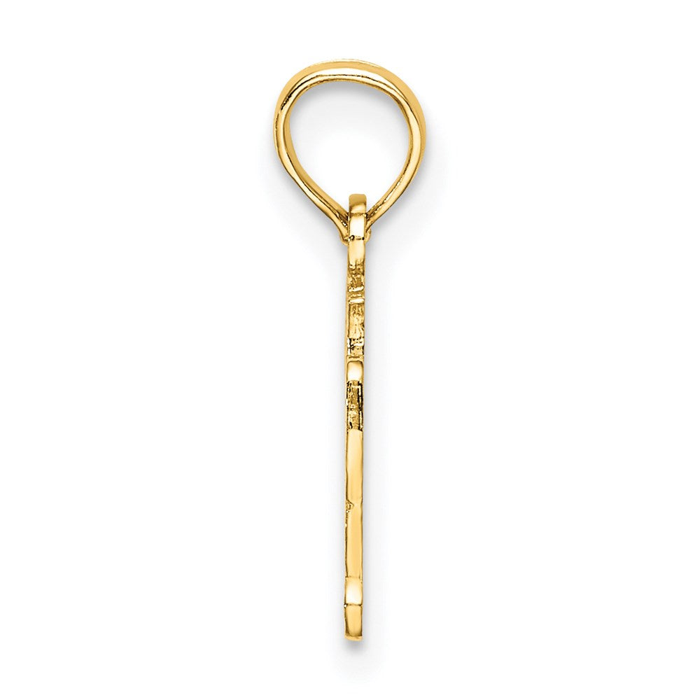 14K Gelbgold Poliert und Graviert Oy Vey Charm