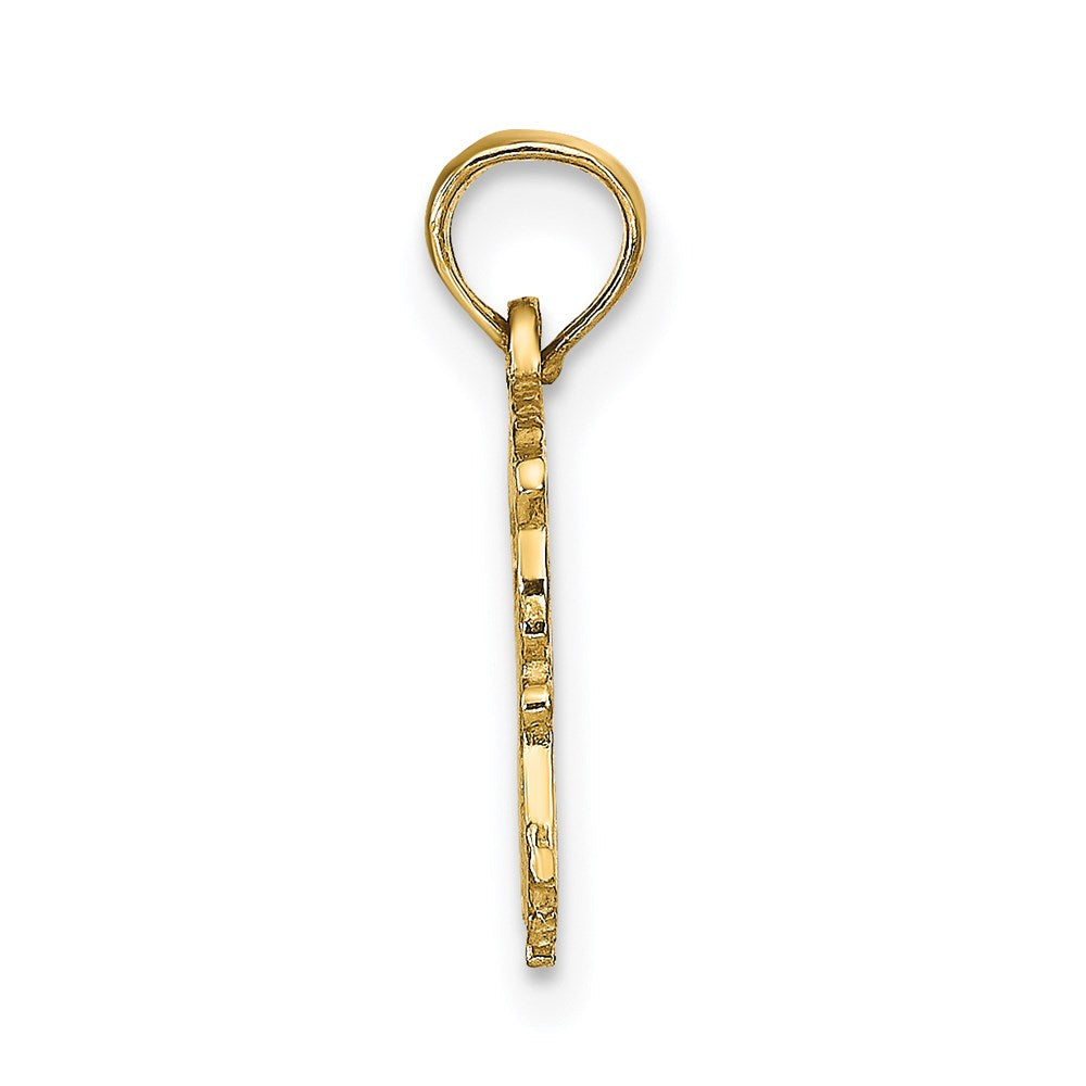 14K Gelbgold Aquarius Tierkreis Charm