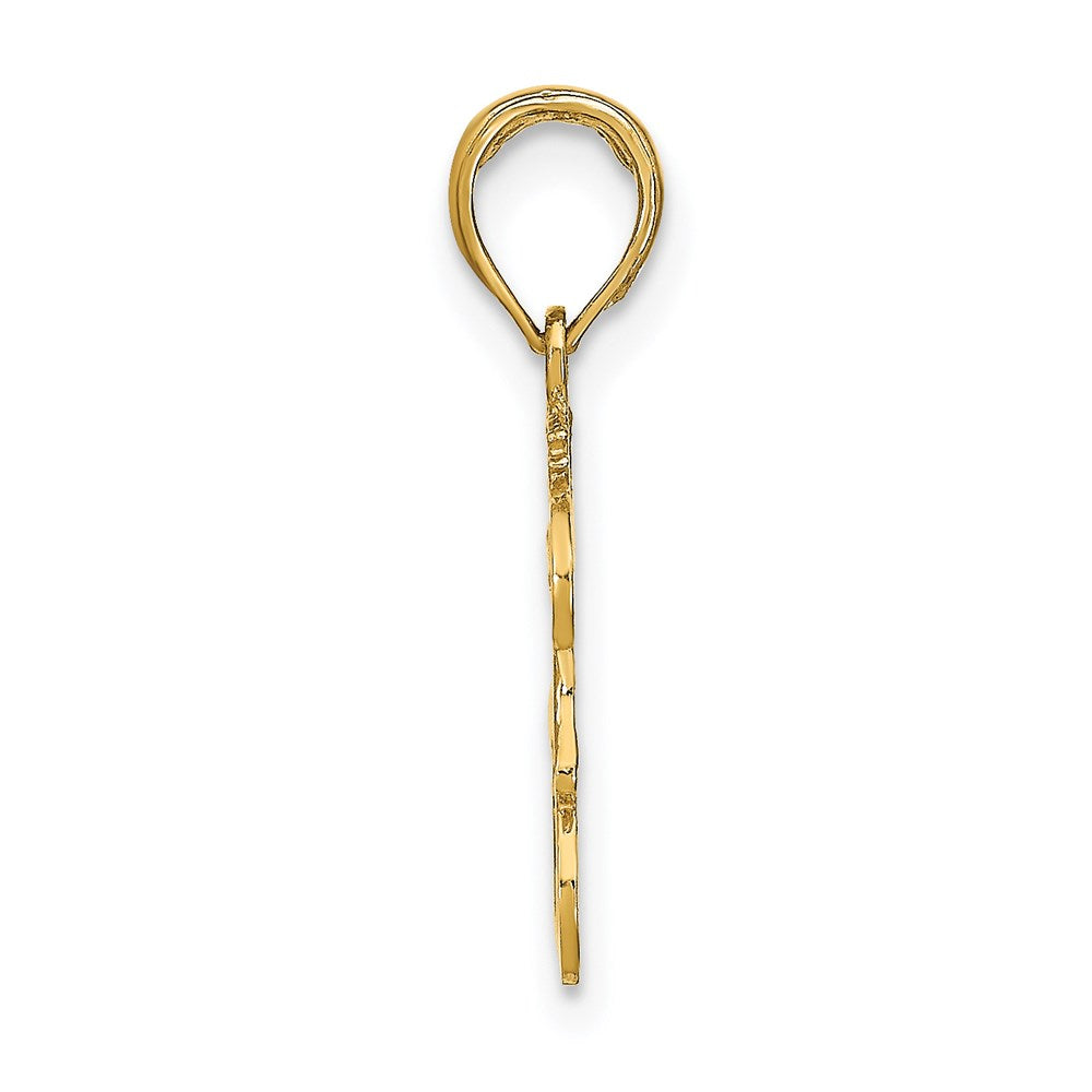 14K Gelbgold Leo Tierkreis Charm