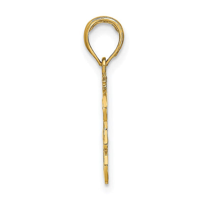 14K Gelbgold Leo Tierkreis Charm