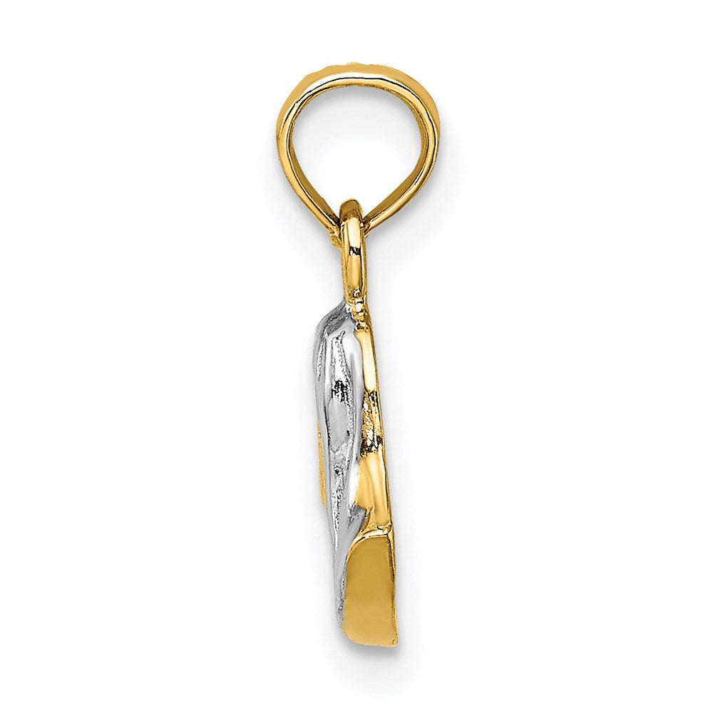 14K Gelb & Rhodium mit Mary Mutter Of Jesus Charm