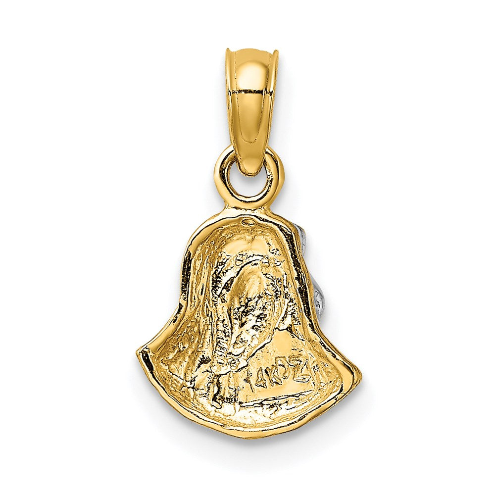 14K Gelb & Rhodium mit Mary Mutter Of Jesus Charm