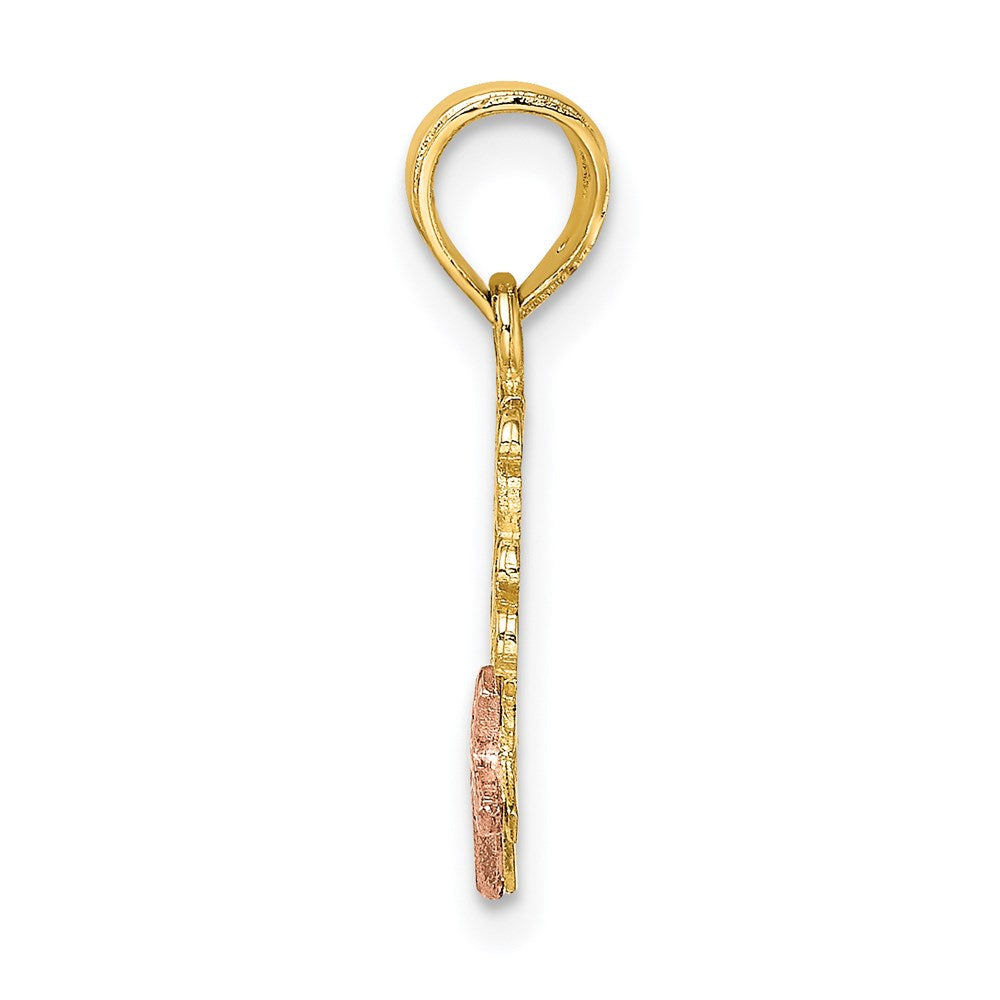 14K Bicolor Jesus Loves Me Charm