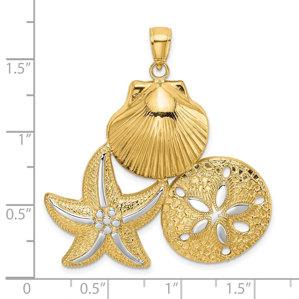 14K Gelbgold und Rhodium mit Weißrhodium Muschel-Seestern- und Sanddollar-Charm