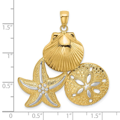 14K Gelbgold und Rhodium mit Weißrhodium Muschel-Seestern- und Sanddollar-Charm