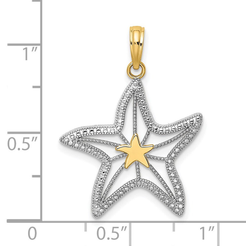 14K Gelbgold und Rhodium mit Weißrhodium kleiner Seestern-Charm