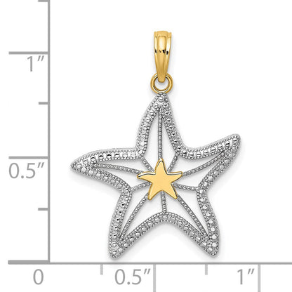 14K Gelbgold und Rhodium mit Weißrhodium kleiner Seestern-Charm