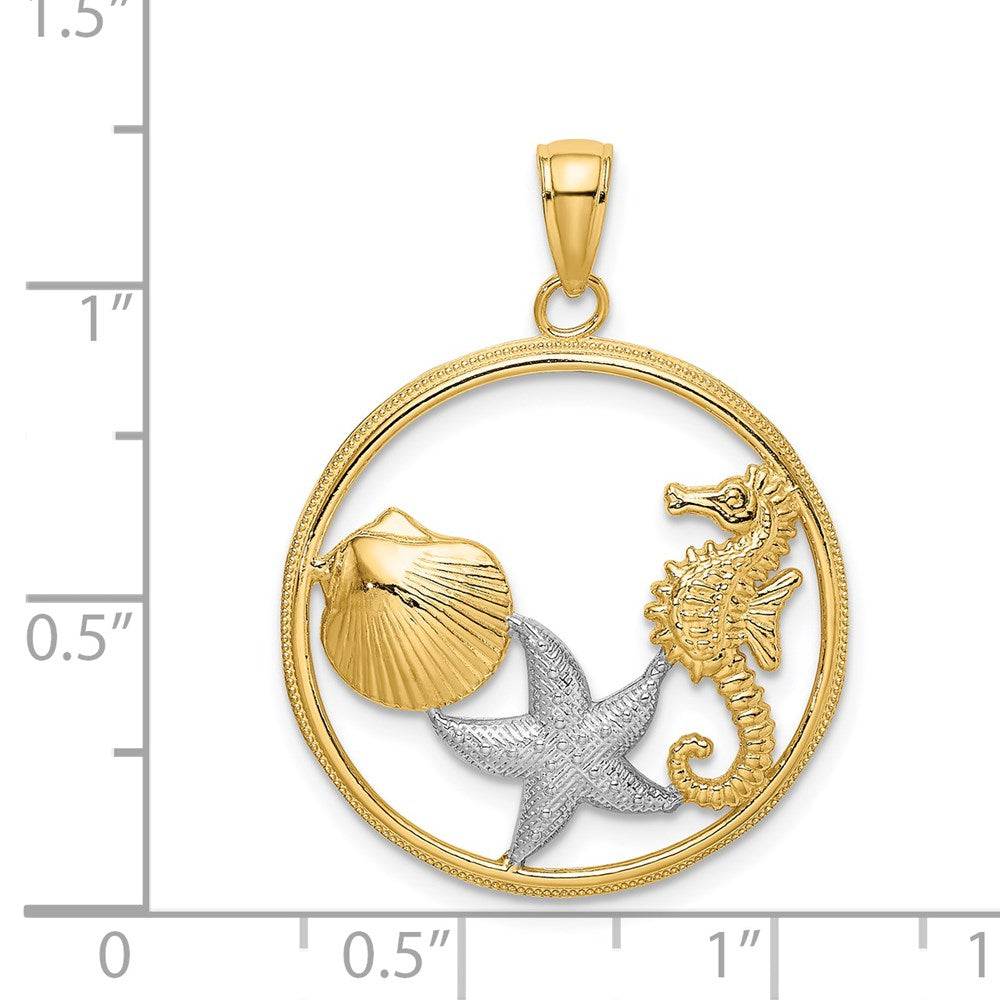 14 Karat Gelb- und Rhodiumgold mit Weißrhodium Muschelrand-Seestern-Seepferdchen-Kreis-Charm