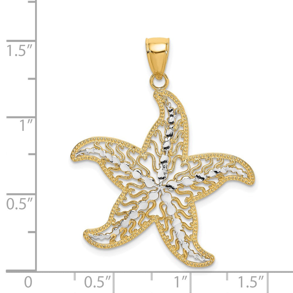 14 Karat Gelbgold und Rhodium mit Weißrhodium-Seestern-Filigrancharm