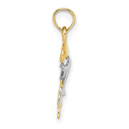 14K Gelb & Rhodium mit 2-d Poliert Dolphins Charm