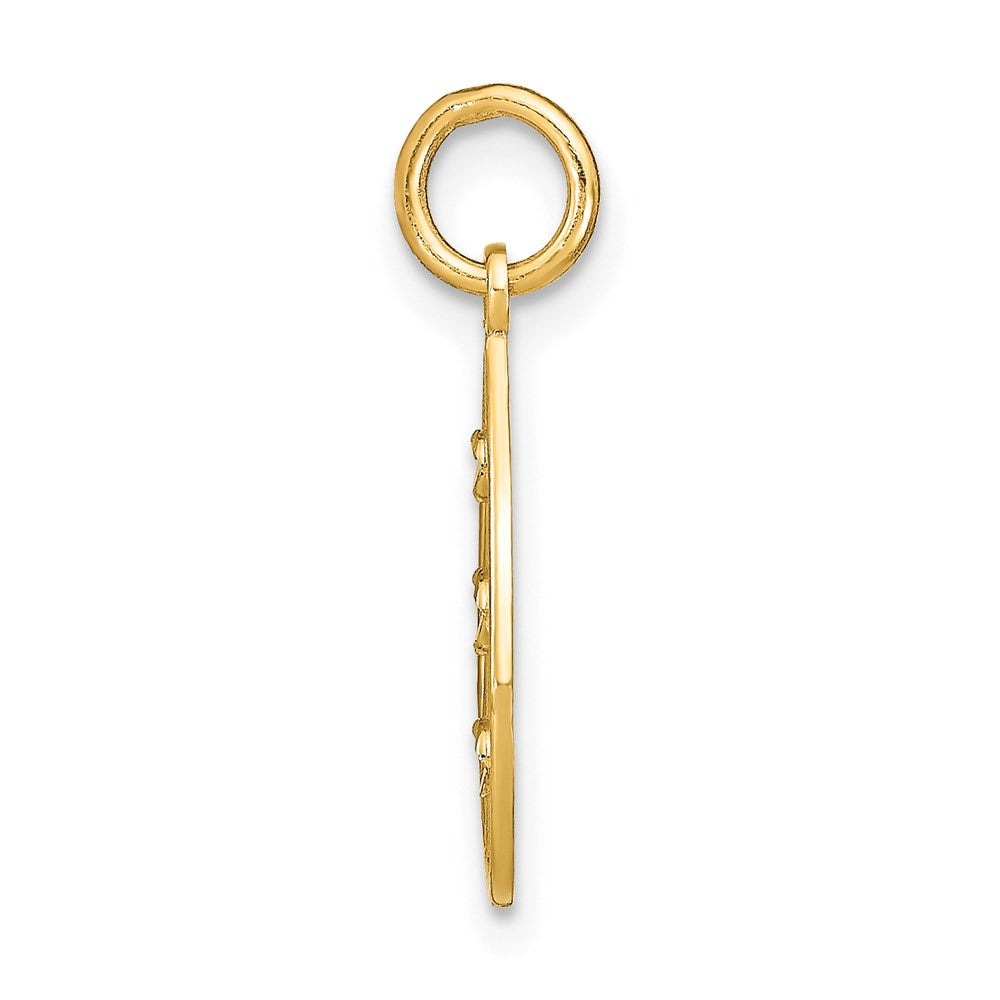 14K Gelb & Rhodium mit Rhodium Diamantiert Klein Tropfen Charm