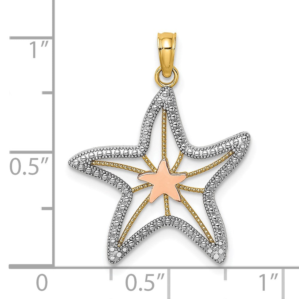 14K Bicolor Gold Bicolor Gold mit Weißrhodium ausgeschnittener kleiner Seestern-Charm