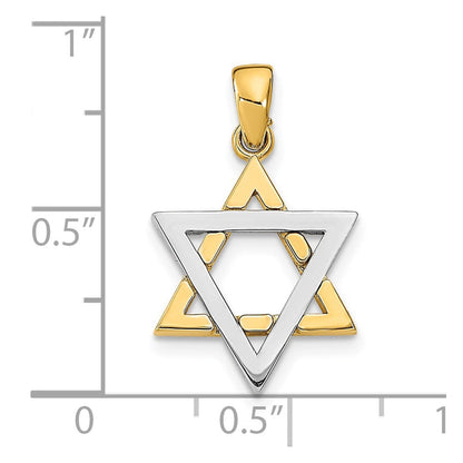 14K Bicolor Gold Davidstern-Charm