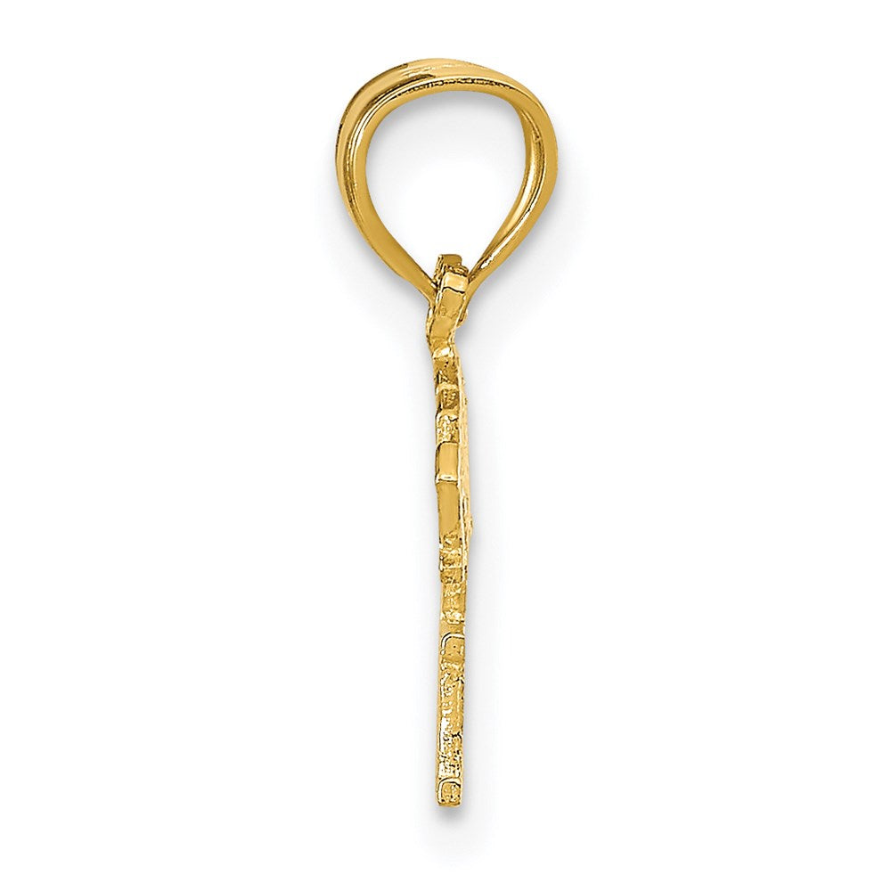 14K Gelbgold Born To Win Anhänger