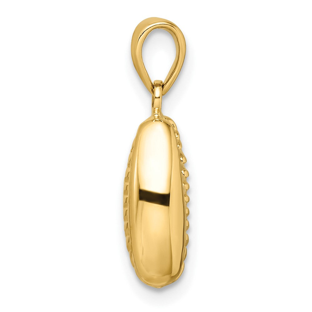 14K Gelbgold Polierter 3D-Kaurimuschel-Anhänger