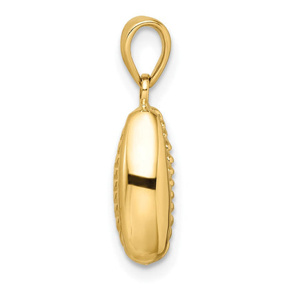 14K Gelbgold Polierter 3D-Kaurimuschel-Anhänger