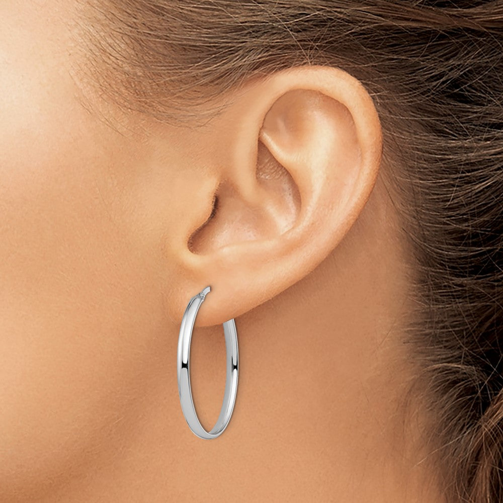 14K Weißgold Poliert Oval Creolen