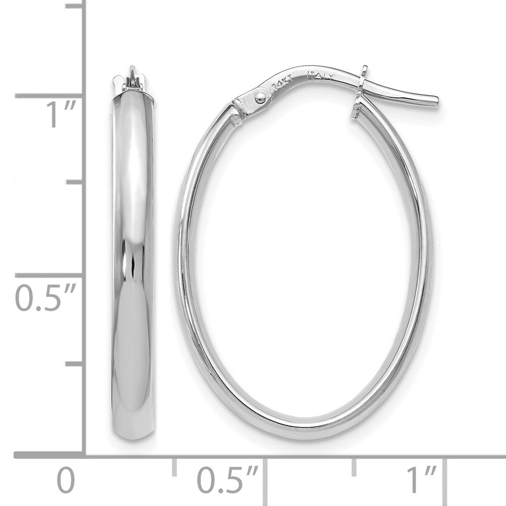 14K Weißgold Poliert Oval Creolen