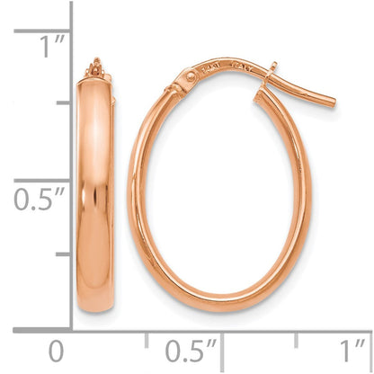 14K Roségold Poliert Oval Creolen