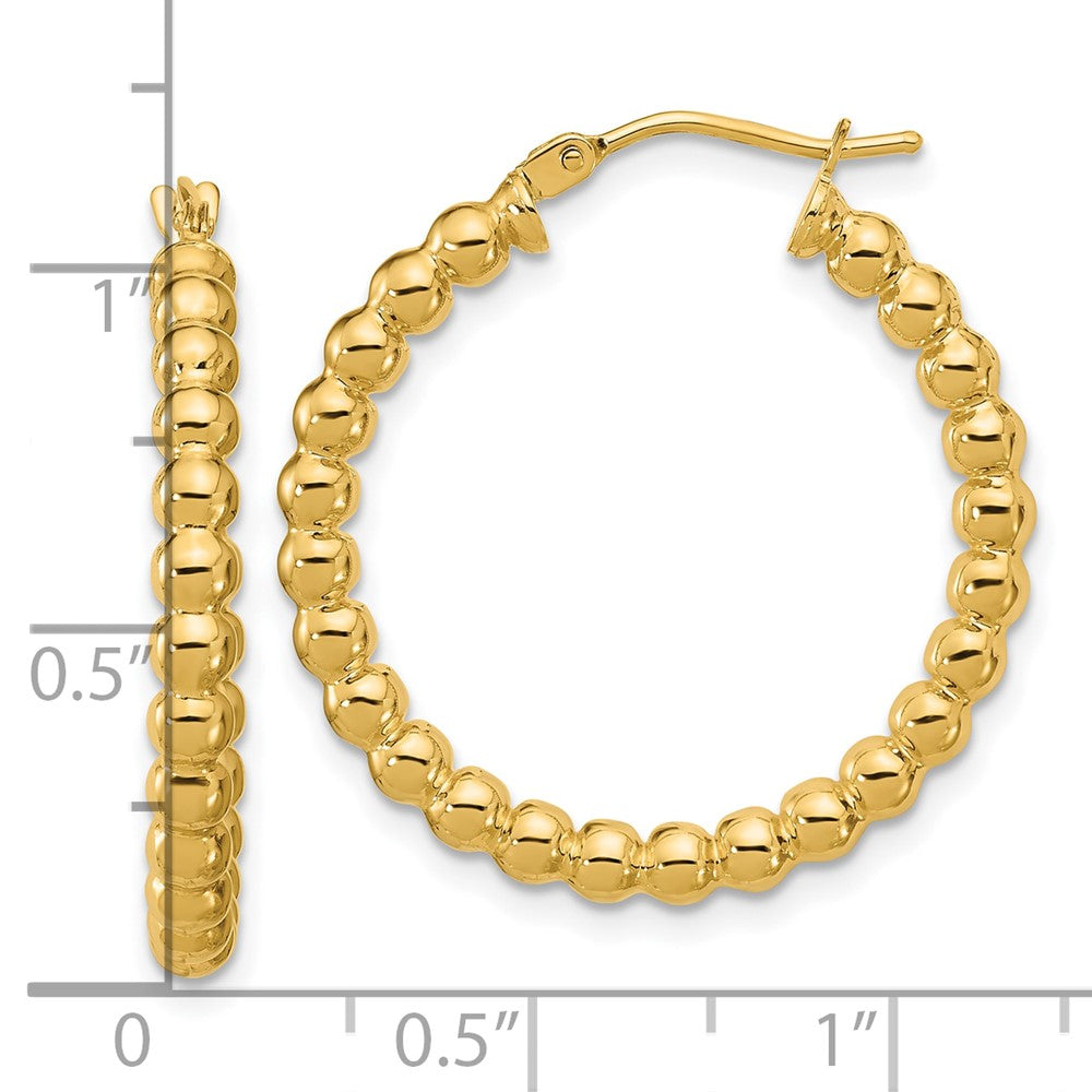 14K Gelbgold Poliert Gekugelt Rund Creolen