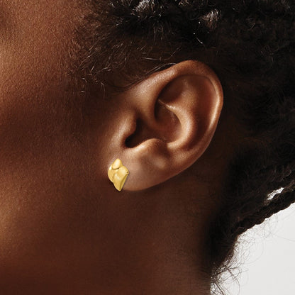 14K Gelbgold Poliert und Gebürstet Fantasie Ohrstecker
