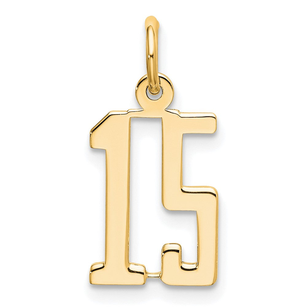 14K Weißgold Klein Länglich Zahl 15 Charm