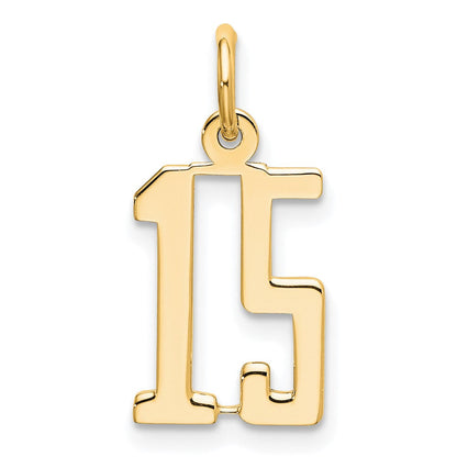 14K Weißgold Klein Länglich Zahl 15 Charm