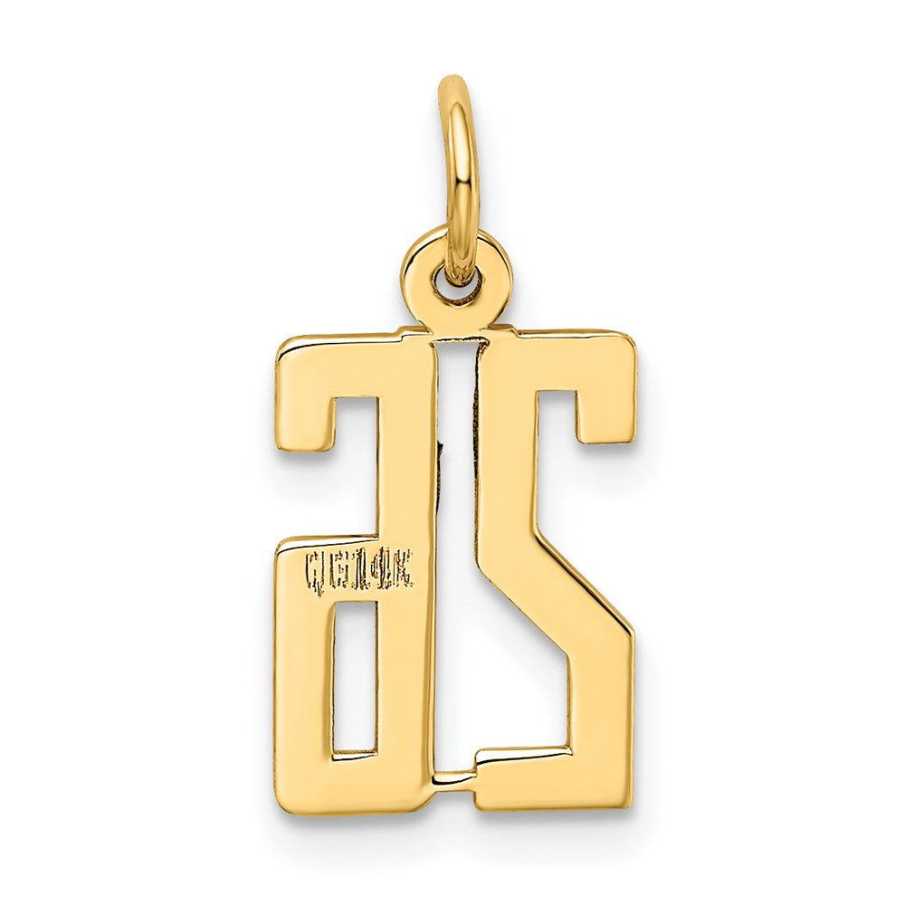 14K Gelbgold Klein Länglich Zahl 26 Charm