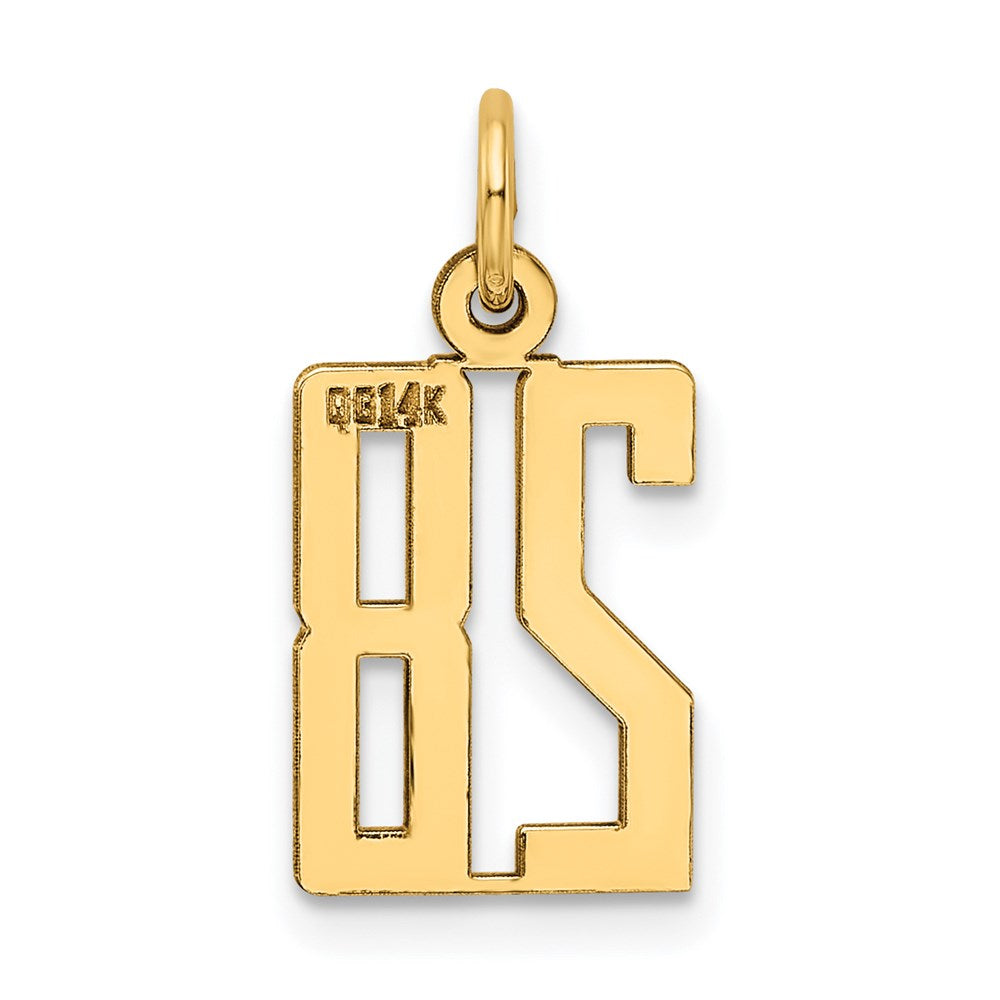 14K Gelbgold Klein Länglich Zahl 28 Charm